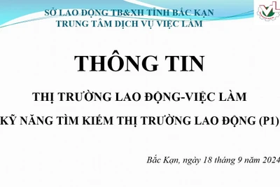 [Trực tiếp] Kỹ năng tìm kiếm thị trường lao động