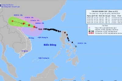 Bắc Kạn: Ban Thường vụ Tỉnh ủy chỉ đạo tập trung ứng phó khẩn cấp bão số 3