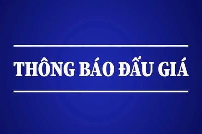 Thông báo đấu giá quyền khai thác khoáng sản đối với khu vực cát đồi Quan Nưa 1, xã Dương Quang, thành phố Bắc Kạn, tỉnh Bắc Kạn (lần 2)