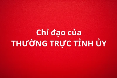 Thường trực Tỉnh ủy Bắc Kạn chỉ đạo công tác ứng phó, khắc phục hậu quả sau cơn bão số 3