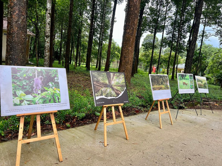 Một góc triển lãm tại Vườn Quốc gia Cát Tiên trong lễ đón nhận danh hiệu Danh lục Xanh của IUCN - Ảnh: VGP/NN Một góc triển lãm tại Vườn Quốc gia Cát Tiên trong lễ đón nhận danh hiệu Danh lục Xanh của IUCN - Ảnh: VGP/NN