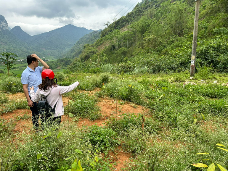 Phóng viên Báo Bắc Kạn tìm hiểu về công tác thống kê bồi thường tại huyện Ba Bể. z5553365708475_136387b212480d825a0942f46f55153b.jpg