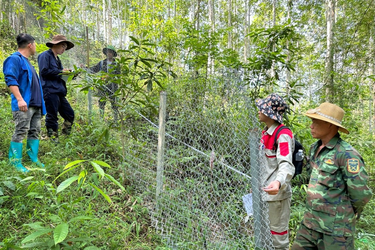 Lưới thép được người dân rào trên đồi tại thôn Phiêng Khảo, xã Thanh Vận (Chợ Mới). 314e11400876ad28f467.jpg