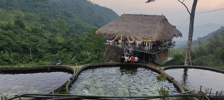 Đoàn du khách đến từ Hải Hậu, Nam Định check in tại khu vực nuôi cá hồi, cá tầm trên đỉnh Pù Lầu Đoàn du khách đến từ Hải Hậu, Nam Định check in tại khu vực nuôi cá hồi, cá tầm trên đỉnh Pù Lầu