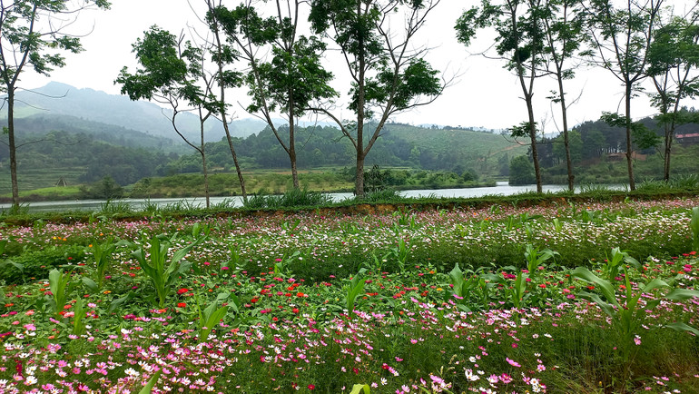 Từ vườn hoa có thể ngắm mặt hồ.