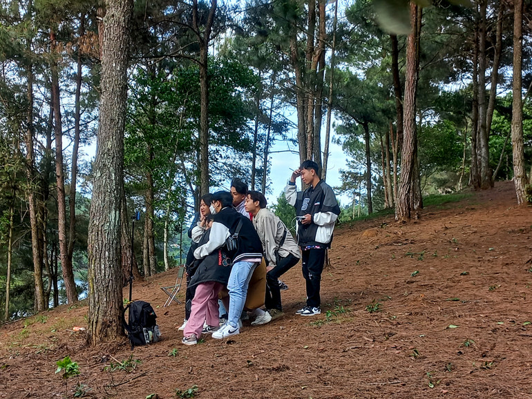 Đồi thông hồ Bản Chang được nhiều bạn trẻ check-in.