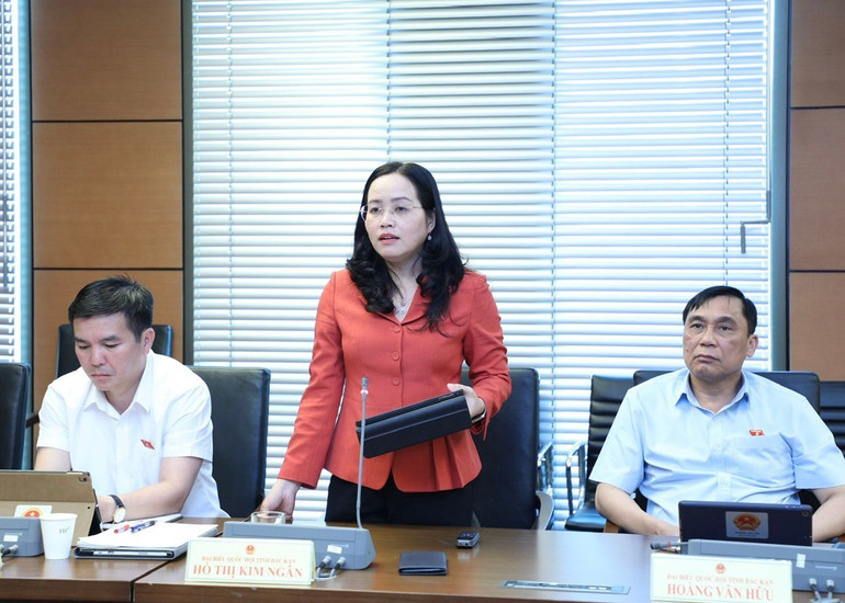 Đại biểu Hồ Thị Kim Ngân, Tỉnh ủy viên, Bí thư Huyện ủy Chợ Mới thảo luận tại Tổ. 72.jpg