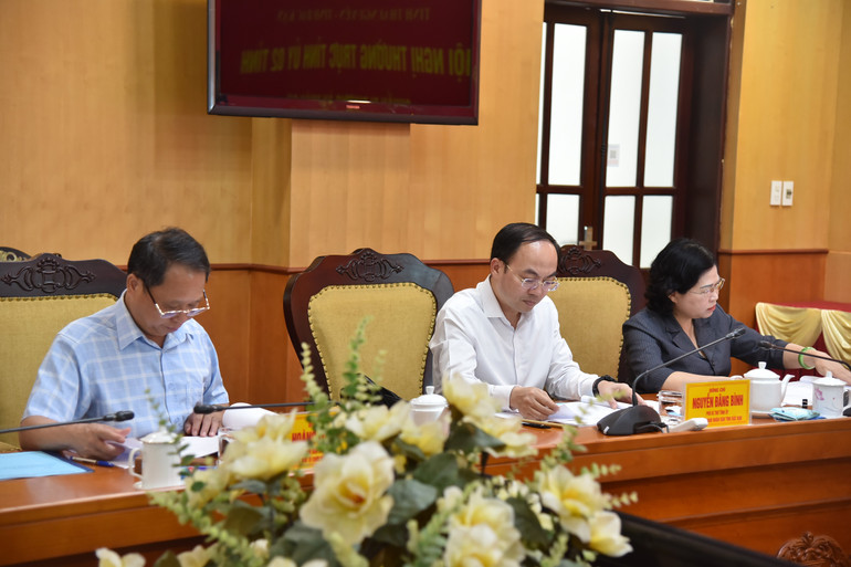 Các đồng chí Thường trực Tỉnh ủy và Ban Tổ chức Tỉnh ủy Bắc Kạn dự Hội nghị. nik-9787.jpg