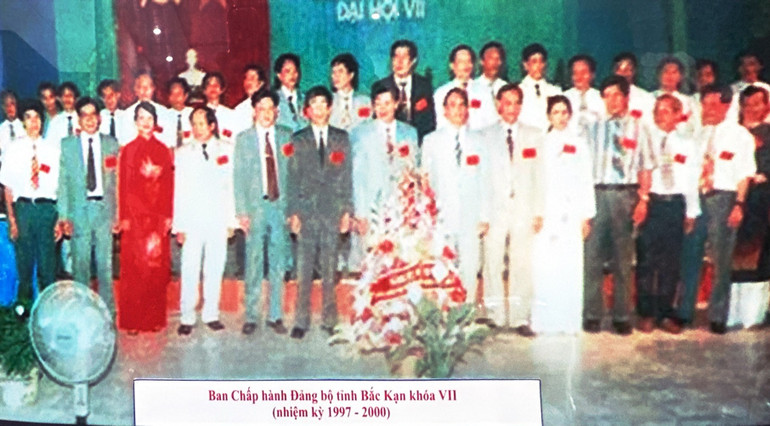 vii.jpg