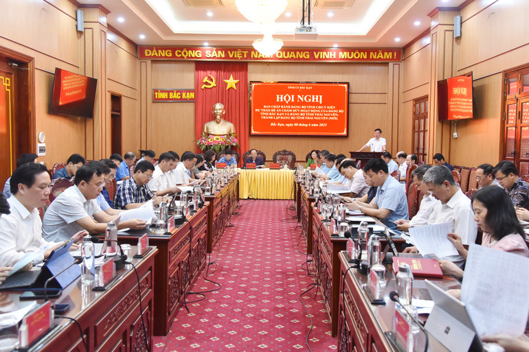Đồng chí Hoàng Duy Chinh, Ủy viên Ban Chấp hành Trung ương Đảng, Bí thư Tỉnh ủy, Trưởng đoàn ĐBQH tỉnh quán triệt nội dung hội nghị. nik-0801.jpg