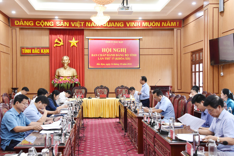 Đồng chí Hoàng Lục Do, Ủy viên Ban Thường vụ, Trưởng ban Tổ chức Tỉnh ủy phát biểu thảo luận tại Tổ. nik-4534-4007.jpg