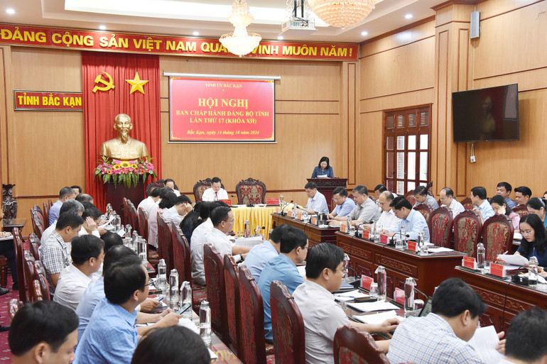 Đồng chí Phương Thị Thanh, Phó Bí thư Thường trực Tỉnh ủy, Chủ tịch HĐND tỉnh định hướng thảo luận. nik-4407-8538.jpg