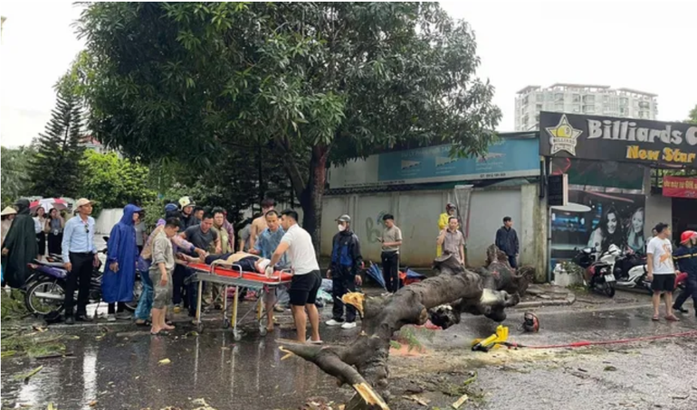 Hiện trường một vụ cây xanh bật gốc, đổ xuống đường khiến 01 người chết, 01 người bị thương tại đường Nguyễn Hữu Thọ (quận Hoàng Mai), Hà Nội. Hiện trường một vụ cây xanh bật gốc, đổ xuống đường khiến 01 người chết, 01 người bị thương tại đường Nguyễn Hữu Thọ (quận Hoàng Mai), Hà Nội.