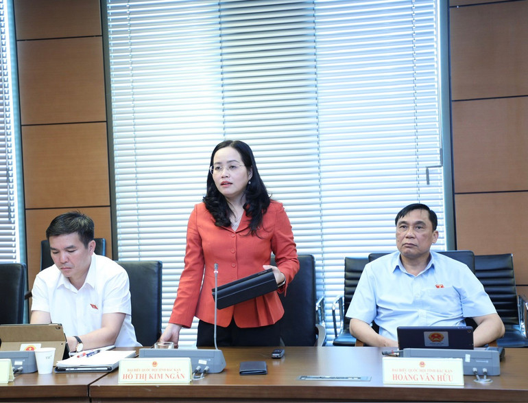 Đại biểu Hồ Thị Kim Ngân, Tỉnh ủy viên, Bí thư Huyện ủy Chợ Mới thảo luận tại Tổ. 72.jpg