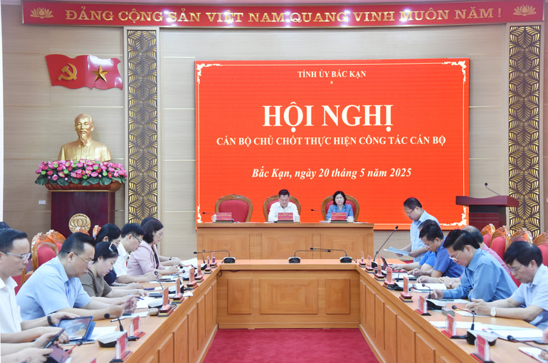 Đồng chí Hoàng Lục Do, Ủy viên Ban Thường vụ, Trưởng ban Tổ chức Tỉnh ủy triển khai các nội dung về công tác cán bộ. r666-nik-0209.jpg