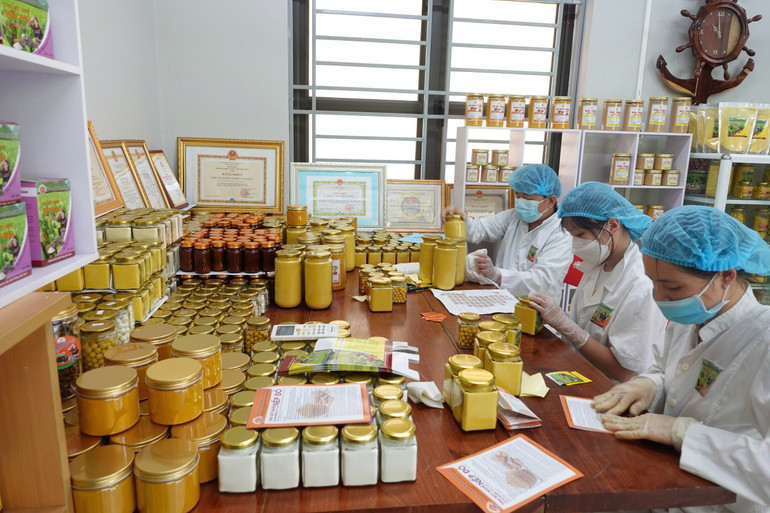 Sản xuất các sản phẩm từ nghệ tại HTX Tân Thành. Ảnh: Triệu Hiển 60.jpg
