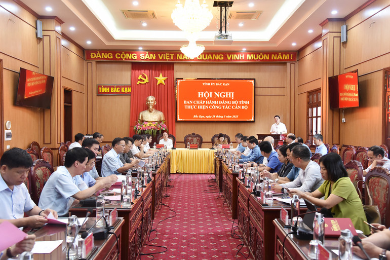 会議風景。 285-nik-0328.jpg