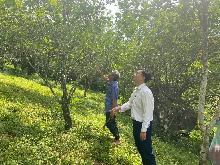 Cán bộ Phòng Giao dịch Ngân hàng CSXH huyện Na Rì kiểm tra hiệu quả sử dụng vốn vay ưu đãi của người dân. z6024462766714-1d38c051fef04bf49810d41879d37747.jpg