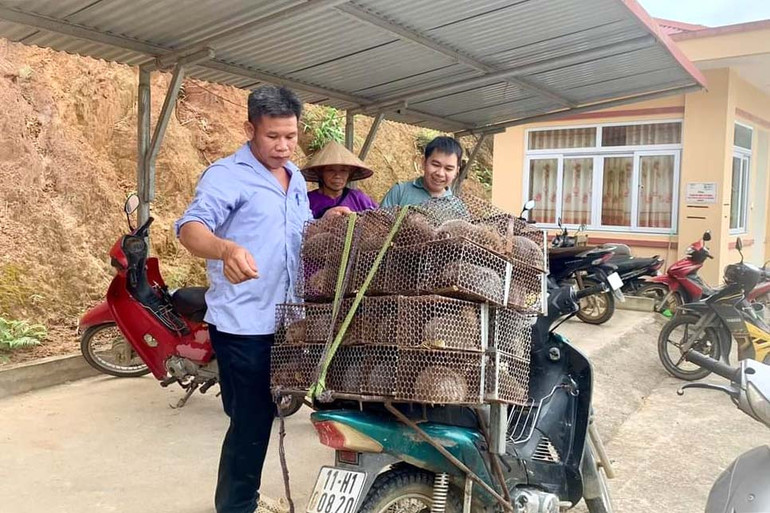 Người dân xã Lục Bình được cấp con giống để phát triển kinh tế, giảm nghèo từ Chương trình MTQG. 1212-6d8b25bdf6d2.jpg