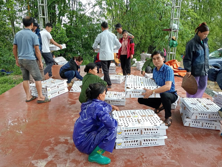 Người dân xã Đổng Xá (Na Rì) nhận gà giống từ dự án liên kết theo chuỗi, chu kỳ 2. z5728276821074_a4f8722990a395ebde92731f5f80765c.jpg