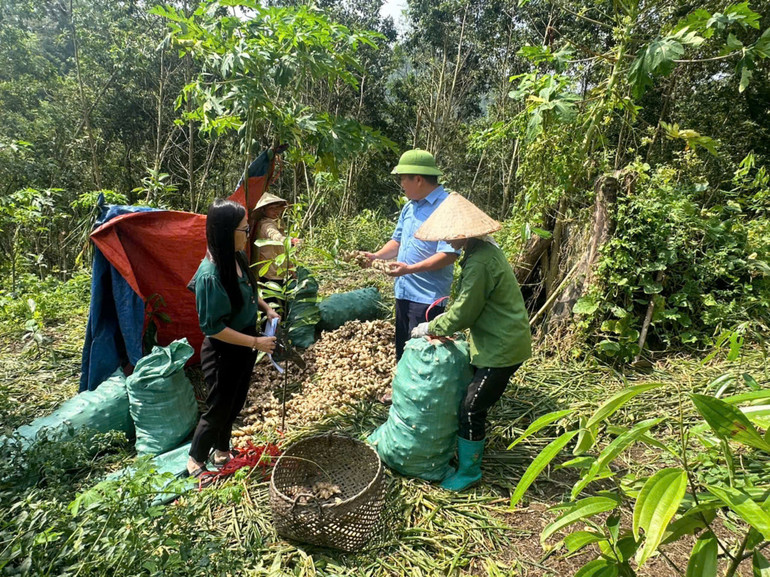 Chương trình MTQG phát triển KT-XH vùng đồng bào DTTS&MN hỗ trợ người dân Na Rì thực hiện liên kết sản xuất theo chuỗi. 44b9e3bc-95f4-48ff-a0bb-74662cd49b44-5069.jpeg