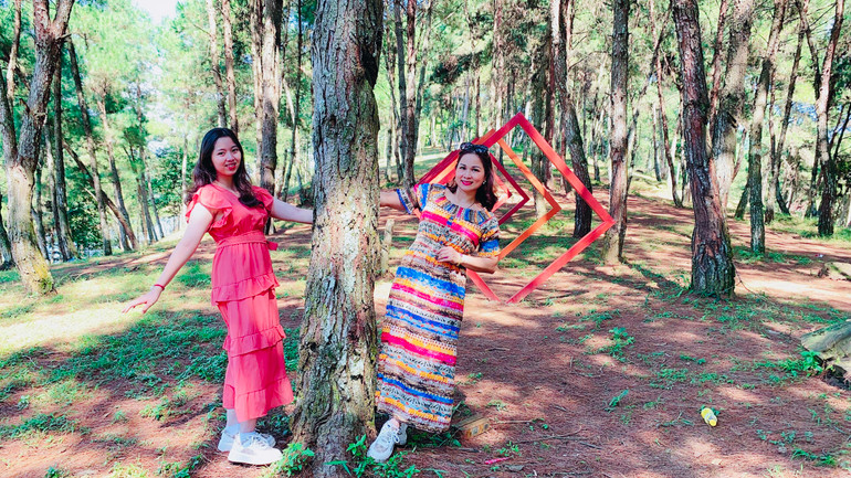 Du khách chụp ảnh và cắm trại ở rừng thông.