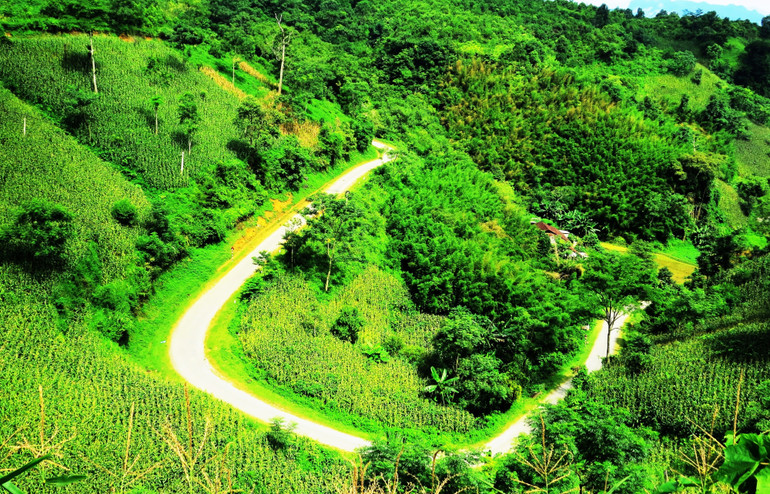 Đèo Yêu hay còn gọi là đèo Kéo Điếp theo tiếng Tày là điểm check in