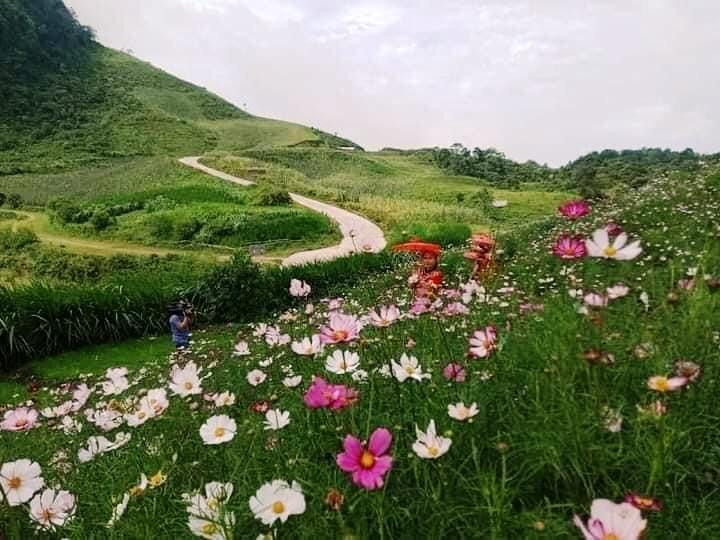 Rất nhiều điểm để du khách có thể lưu giữ những bức hình đẹp. Nhiều điểm đẹp để du khách có thể Chek in