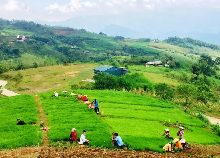 Bà con thôn Lủng Phặc chuẩn bị gieo cấy lúa mùa trên các thửa ruộng bậc thang. Đồng bào Dân tộc Mông ở Lủng Phặc đang vào vụ gieo cấy