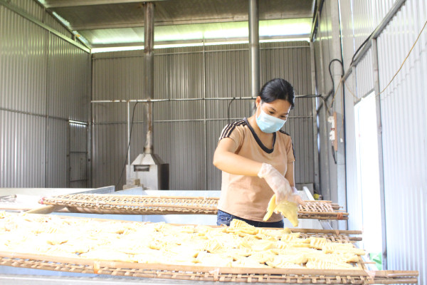 Măng nứa được sơ chế rồi đưa vào sấy khô.