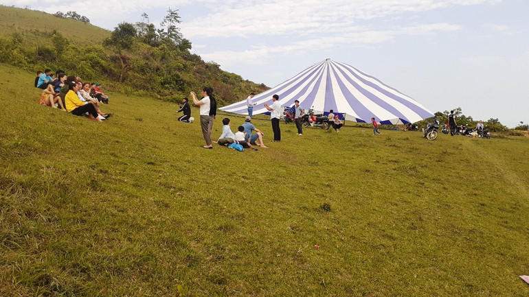 Người dân địa phương và du khách thường xuyên cắm trại tại đồi sim dịp cuối tuần