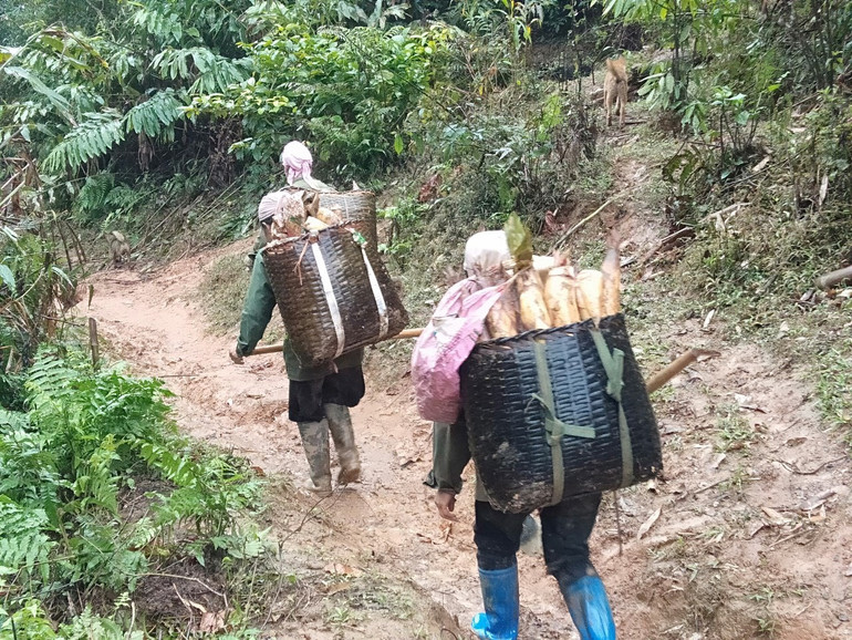 Bà Phùng Thị Sim- Phó Chủ tịch UBND xã Đôn Phong