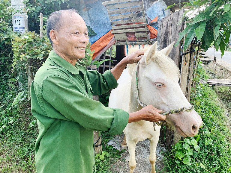 Ông Nông Minh Châu, thôn Nà Làng, xã Lương Thượng chăm sóc ngựa giống chuẩn bị sinh lứa đầu. Ông Nông Minh Châu, thôn Nà Làng, xã Lương Thượng chăm sóc ngựa giống chuẩn bị sinh lứa đầu.
