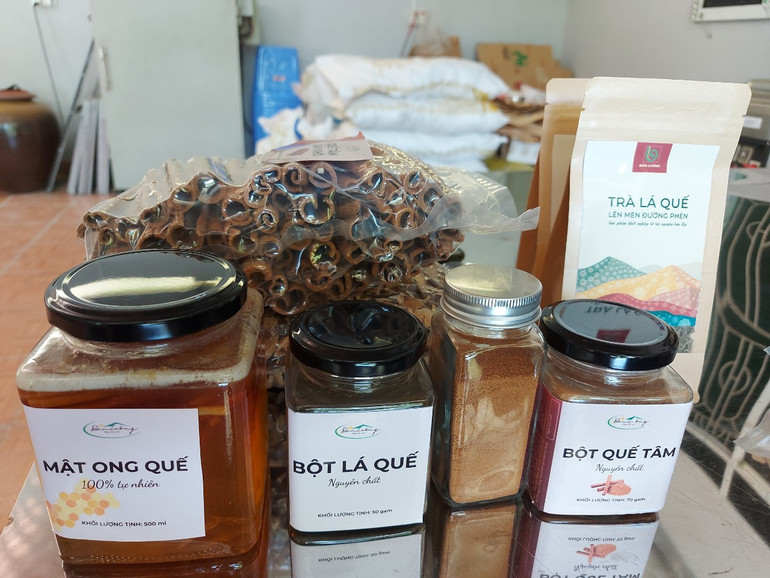 Các sản phẩm từ cây quế của HTX Bản Luông tại phường Huyền Tụng (thành phố Bắc Kạn).