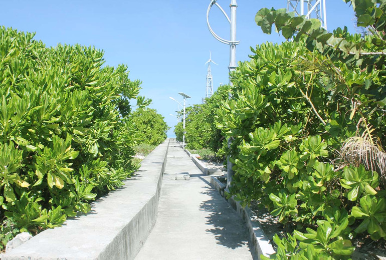 Nhịp sống trên đảo Nam Yết ảnh 3