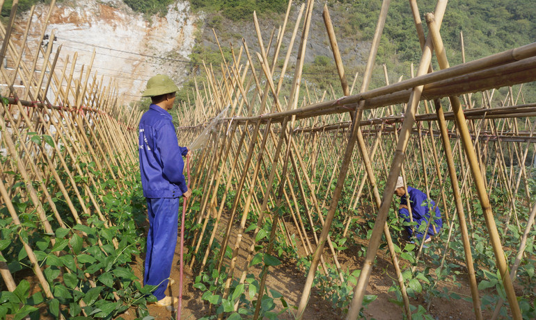 Ma túy, đừng thử dù chỉ một lần! ảnh 1