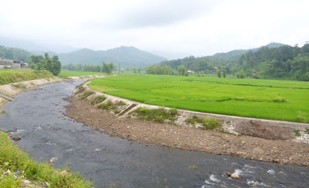 Sông Cầu len mình giữa những cánh đồng lúa của xã Phương Viên (Chợ Đồn) Sông Cầu len mình giữa những cánh đồng lúa của xã Phương Viên (Chợ Đồn)