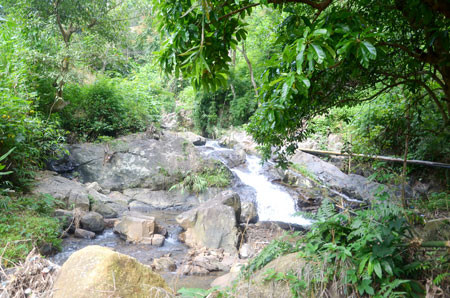 Một nhánh suối hợp lưu vào nhánh sông Lạnh tại xã Đôn Phong (Bạch Thông) Một nhánh suối hợp lưu vào nhánh sông Lạnh tại xã Đôn Phong (Bạch Thông)