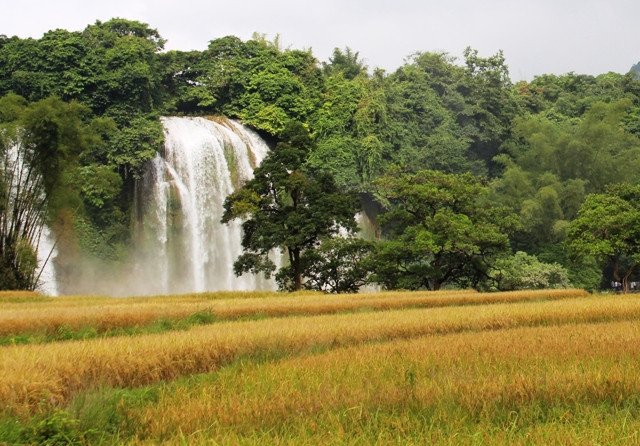 Vẻ đẹp kỳ vĩ của thác Bản Giốc (Cao Bằng)