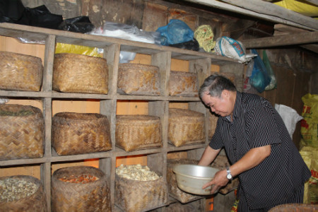 Lương y Nguyễn Văn Cư tâm huyết với việc xây dựng vùng dược liệu, phục vụ trong công tác khám chữa bệnh cho nhân dân. 