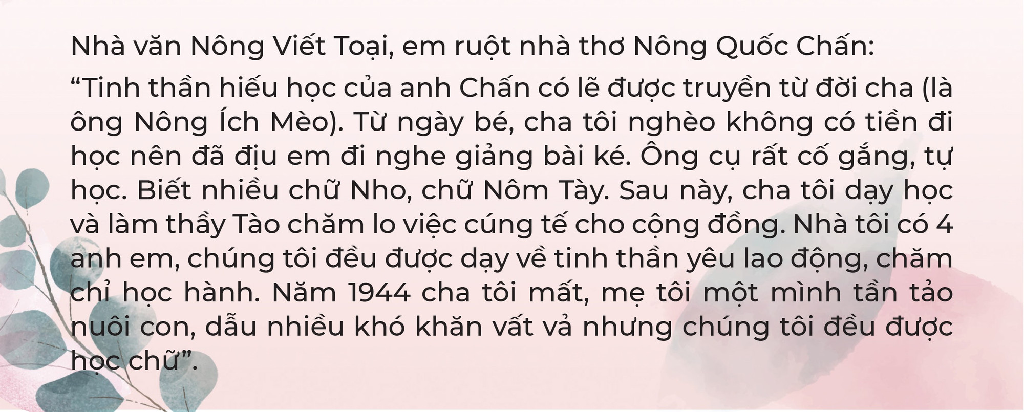 nong-viet-toai.jpg