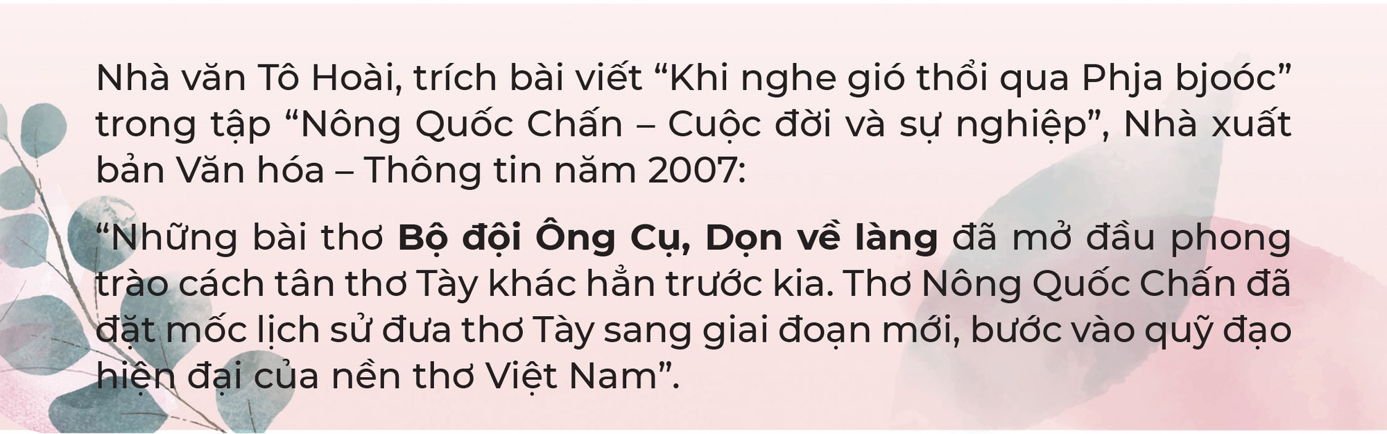 to-hoai-1124.jpg