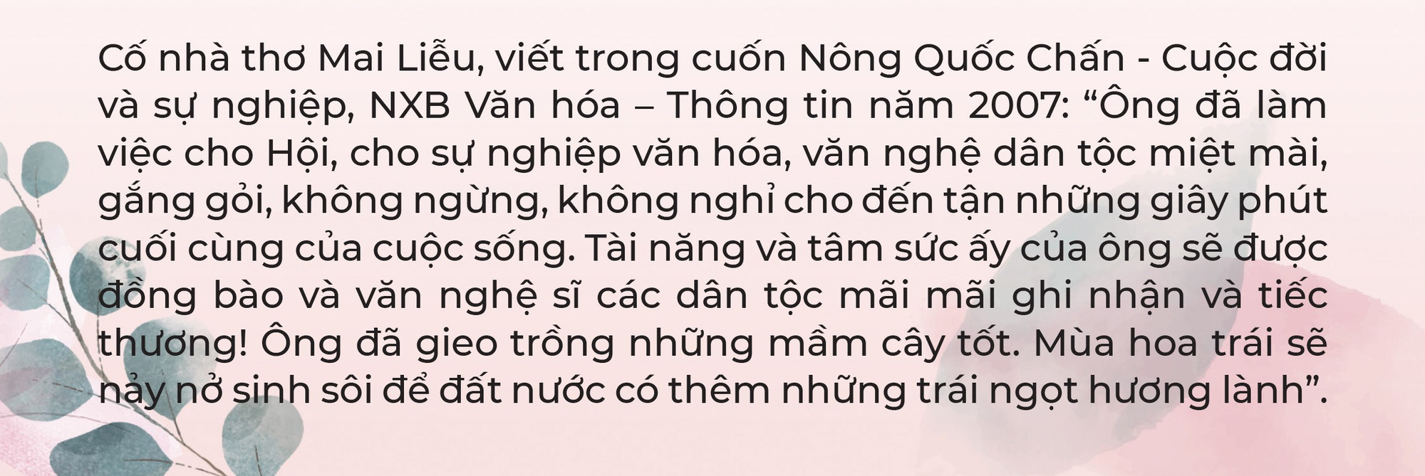 mai-lieu.jpg