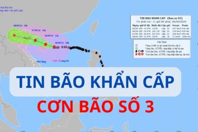 CẬP NHẬT TIN BÃO KHẨN CẤP (Cơn bão số 03)