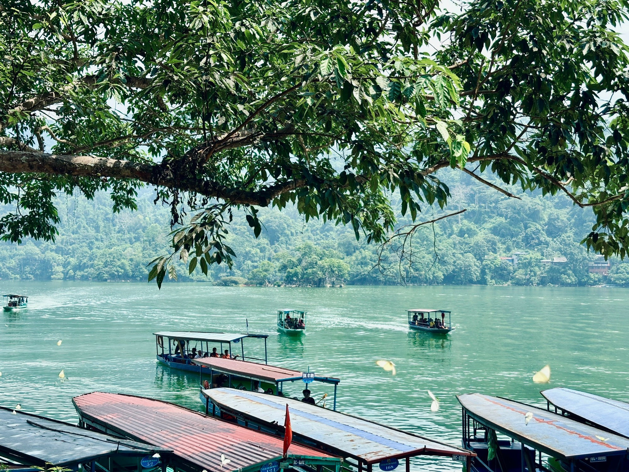 Hồ Ba Bể là khu Ramsar thứ 3 của VIệt Nam. ba-be21-3141.jpg