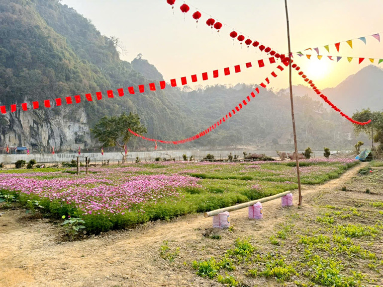 Điểm tham quan, ngắm cảnh, check-in đẹp mắt. den-tham-5.jpg