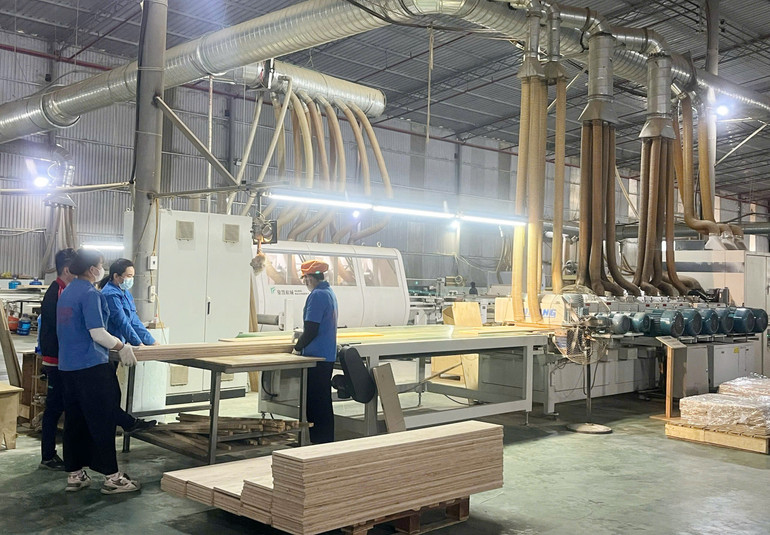 Hoạt động chế biến lâm sản trên địa bàn đã tạo việc làm cho nhiều lao động địa phương. c-kiem.jpg