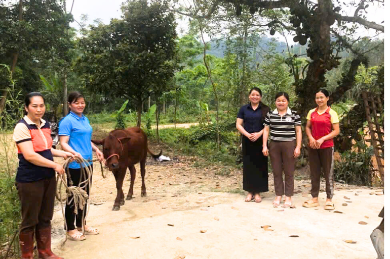 Hội LHPN huyện Chợ Mới luân chuyển bò giống cho chị Dương Thị Nga, xã Quảng Chu. thiet-ke-chua-co-ten-12.png