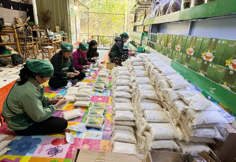 Thành viên HTX Yến Dương đóng gói sản phẩm cung ứng ra thị trường dịp Tết. tieu-4.jpg