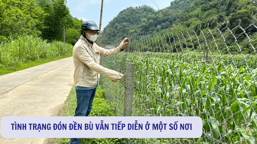 Những hàng rào lưới thép B40 mới được dựng ở rất nhiều nơi tại các xã trong phạm vi giải phóng mặt bằng tuyến Ba Bể kết nối sang Na Hang (Tuyên Quang). 222.gif